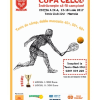 Cupa CELCO – Cupa CELCO Editia a IX-a