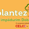 Padurea CELCO ia nastere in judetul Constanta