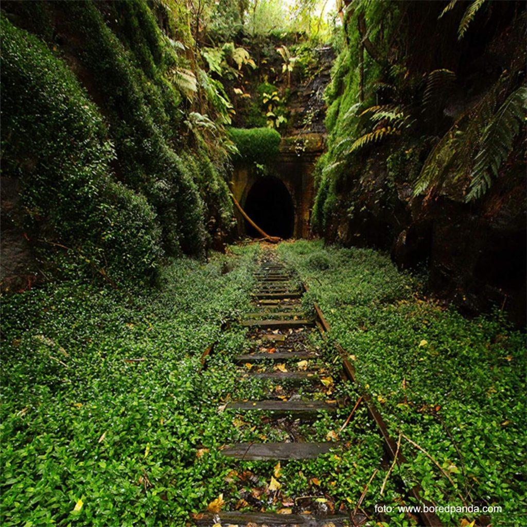 Natura îti reintra în drepturi