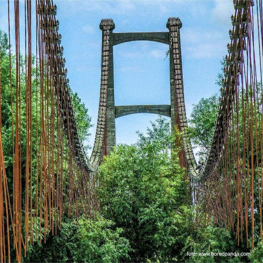 Natura îti reintra în drepturi