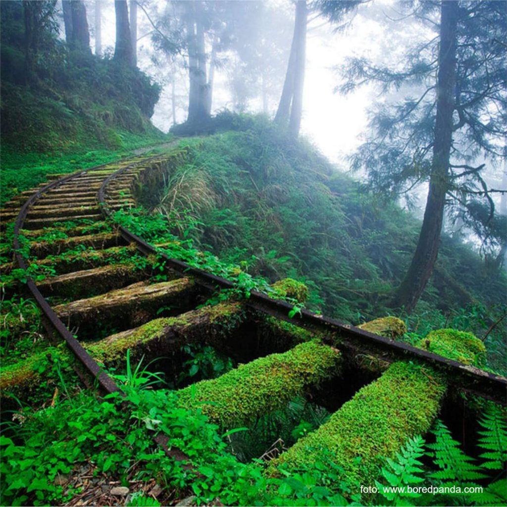 Natura îti reintra în drepturi