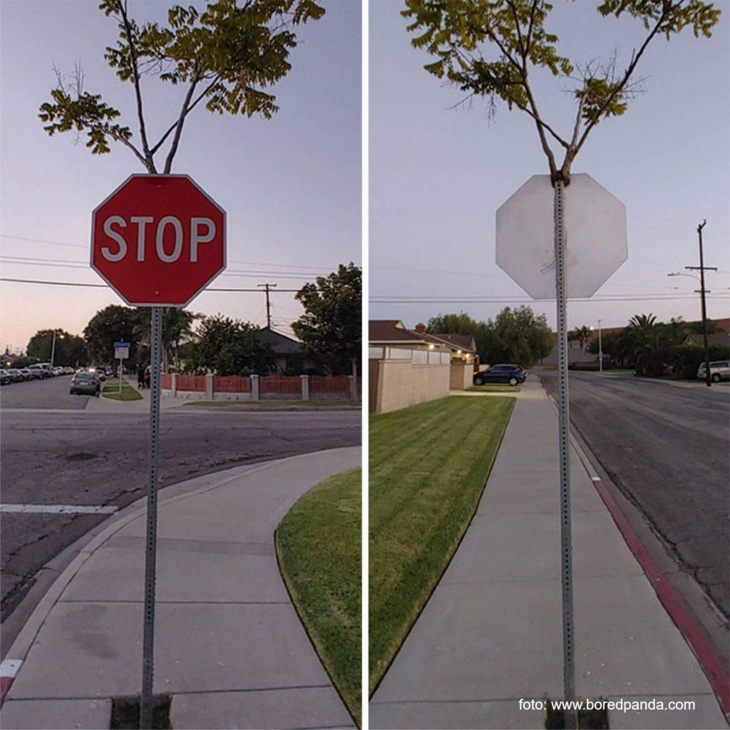 Natura îti reintra în drepturi