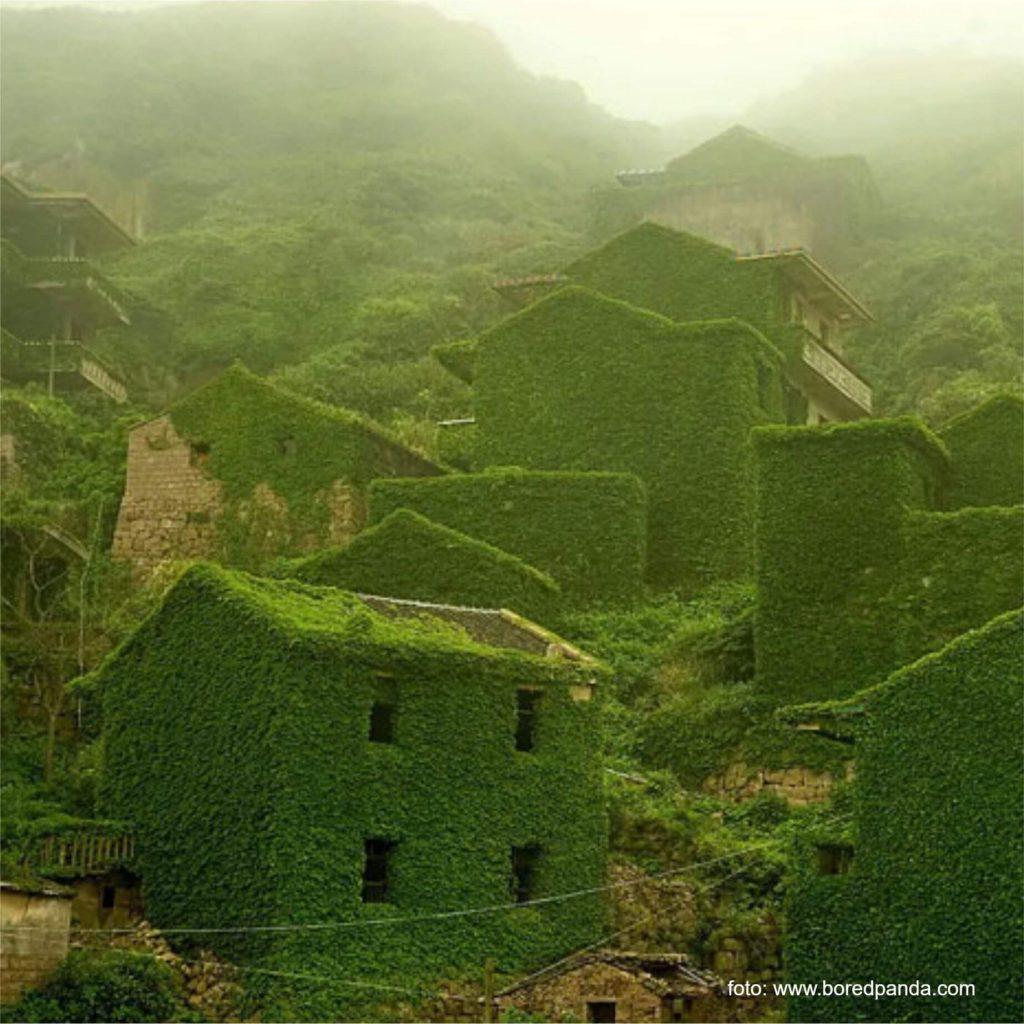 Natura îti reintra în drepturi