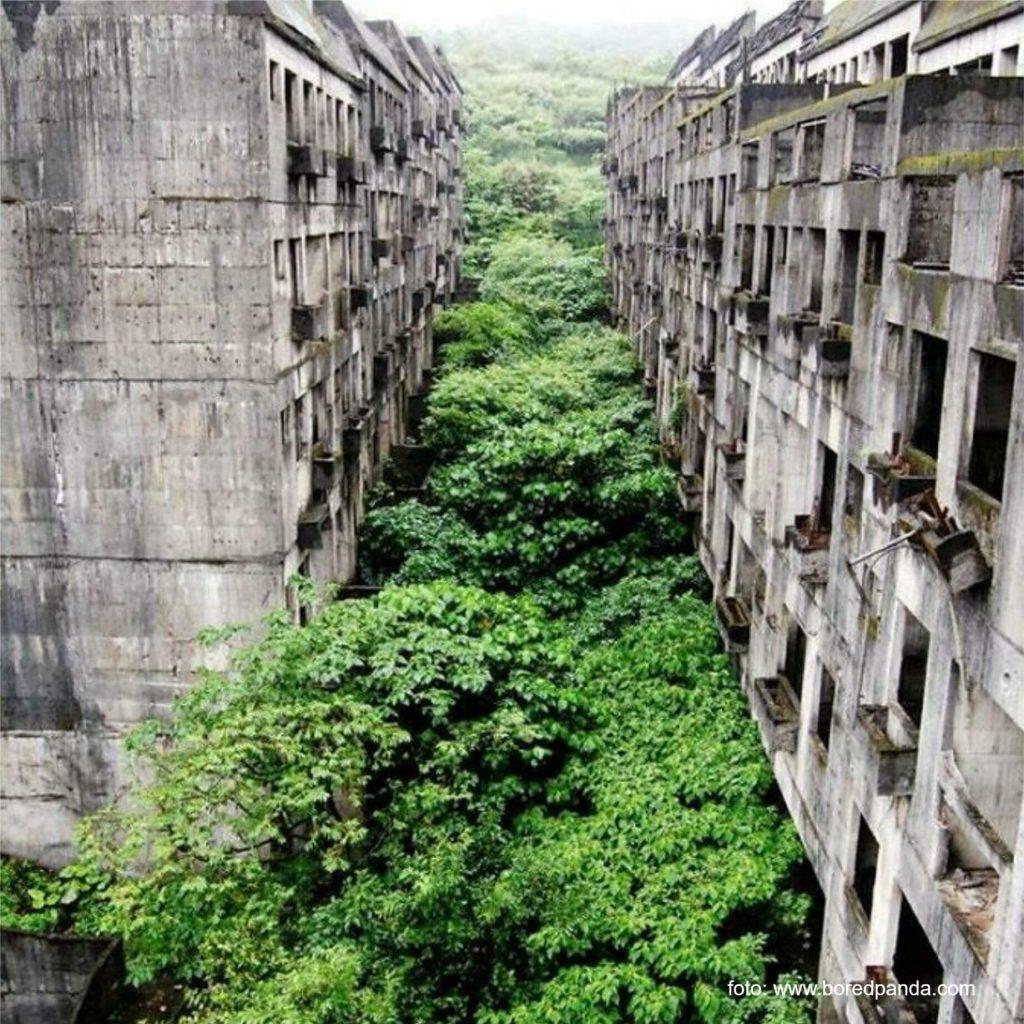 Natura îti reintra în drepturi