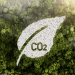 BCA ul CELCO reduce amprenta de CO2