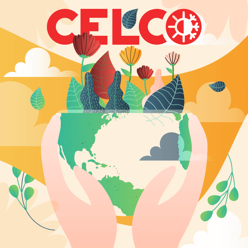 celco LCA