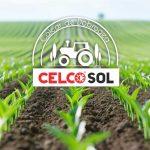 Varul în agricultură: cum corectează un sol acid și cum îmbunătățește fertilitatea