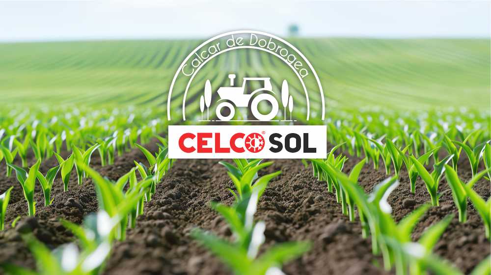 Varul în agricultură: cum corectează un sol acid și cum îmbunătățește fertilitatea